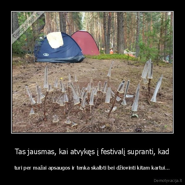 festivalis,prezervatyvai,kandonai