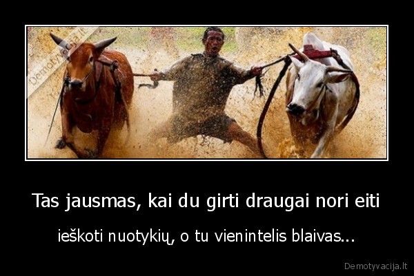 girti, draugai,jauciai,nuotykiai