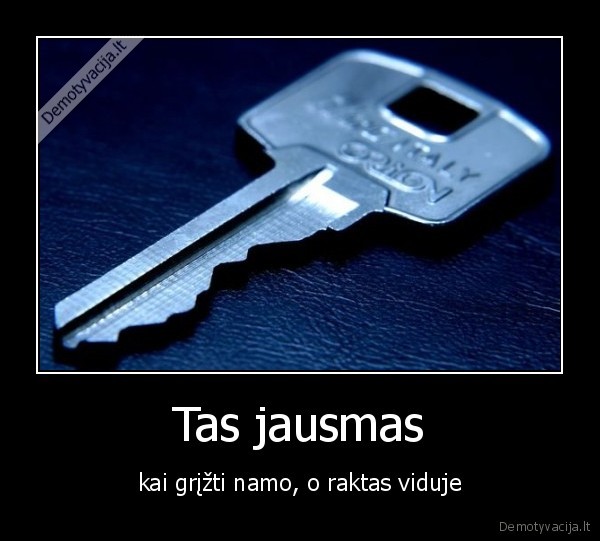 Tas jausmas