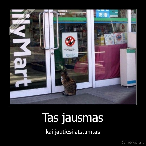 Tas jausmas