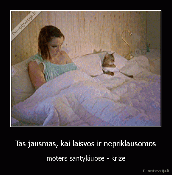 miega, su, katinu,sudetingi, santykiai