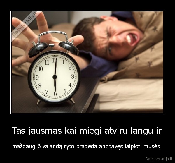 Tas jausmas kai miegi atviru langu ir