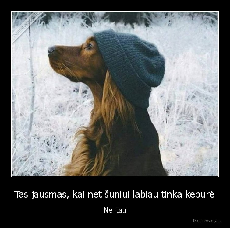 suo, su, kepure
