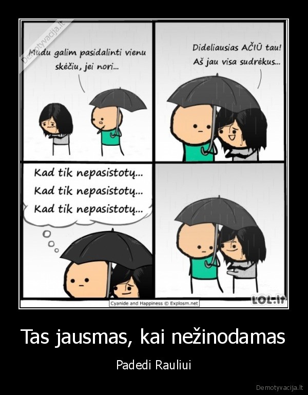 raulis,lytis,stajakas