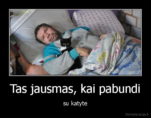 katyte,rytas