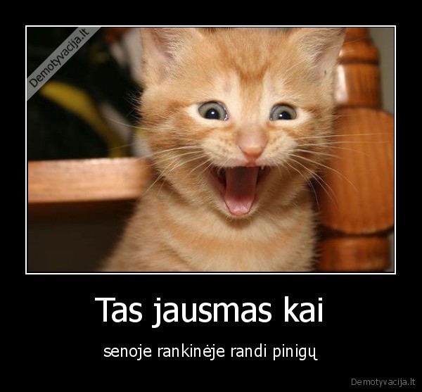 Tas jausmas kai
