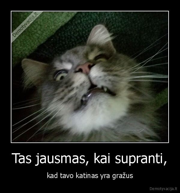 Tas jausmas, kai supranti,
