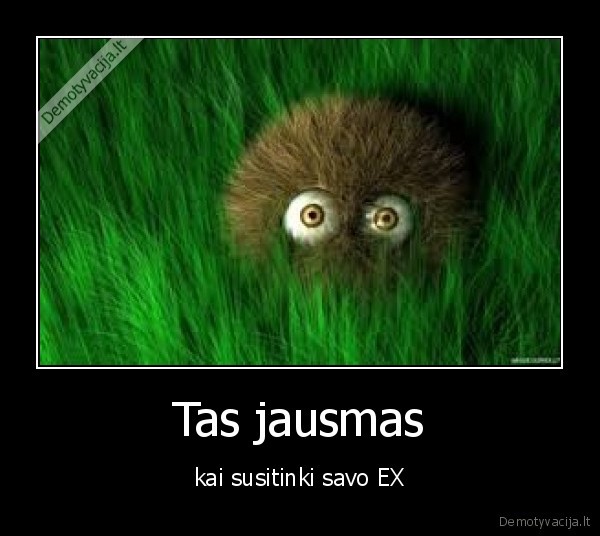 Tas jausmas