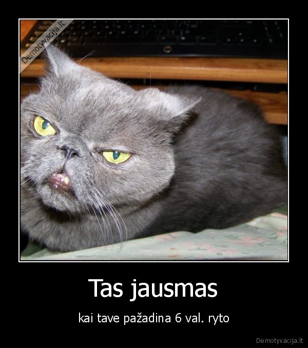 Tas jausmas