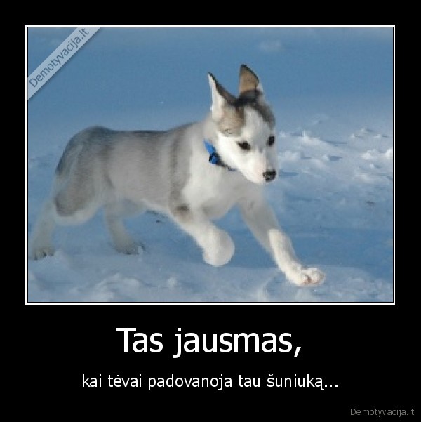 tai, buvo, mano, vaikystes, svajone