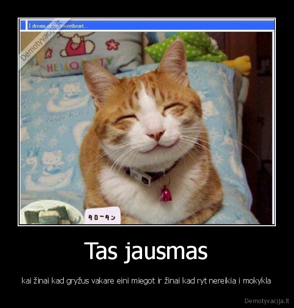 Tas jausmas