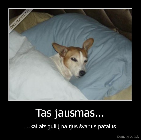 Tas jausmas...
