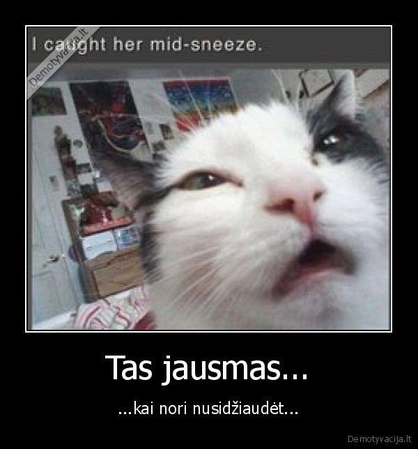 Tas jausmas...