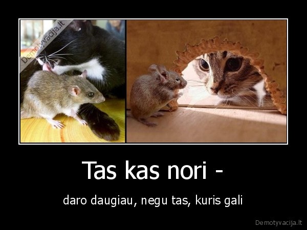 Tas kas nori -