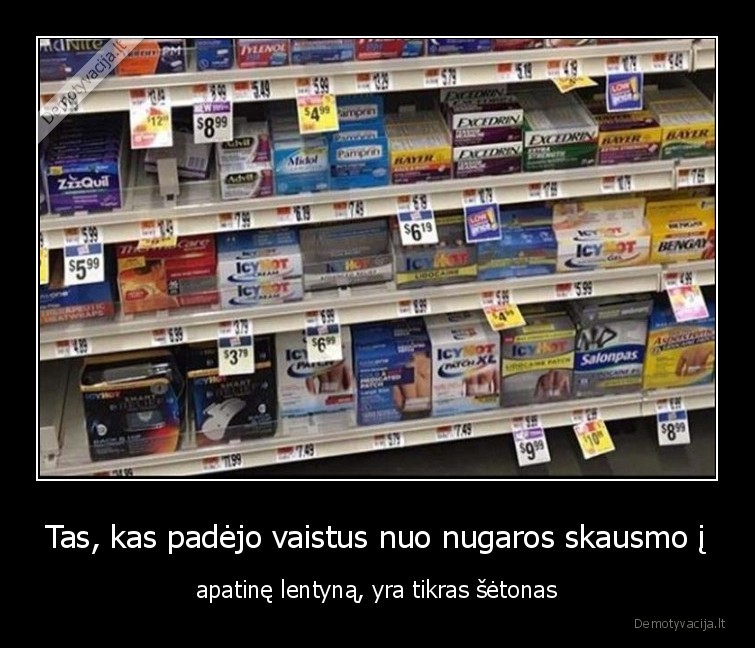 setonas,blogietis