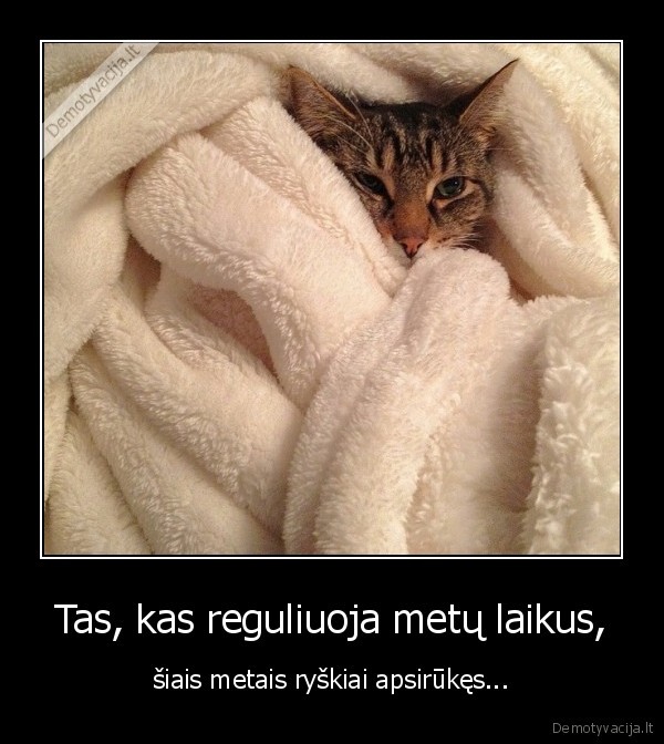 orai,metu, laikai