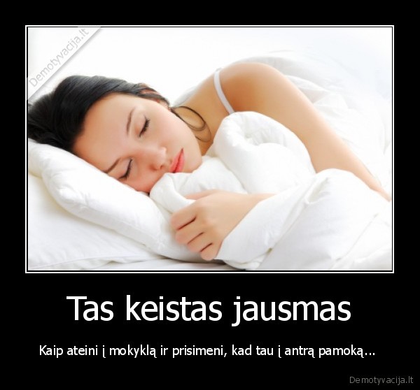 rokiskio, suris