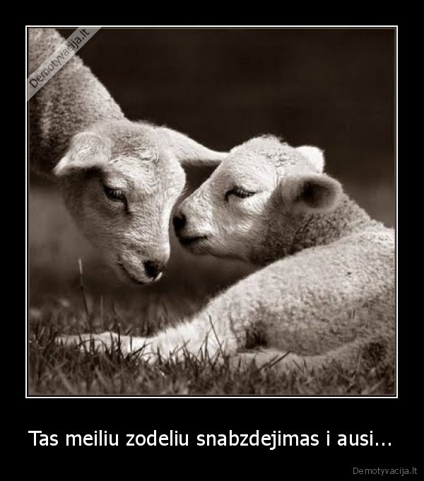 Tas meiliu zodeliu snabzdejimas i ausi...