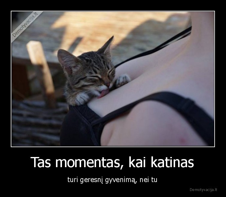 katinas,katinai,kates,merginos