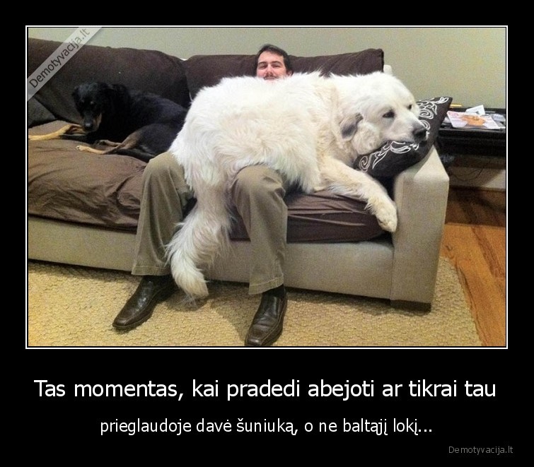 didelis, suo