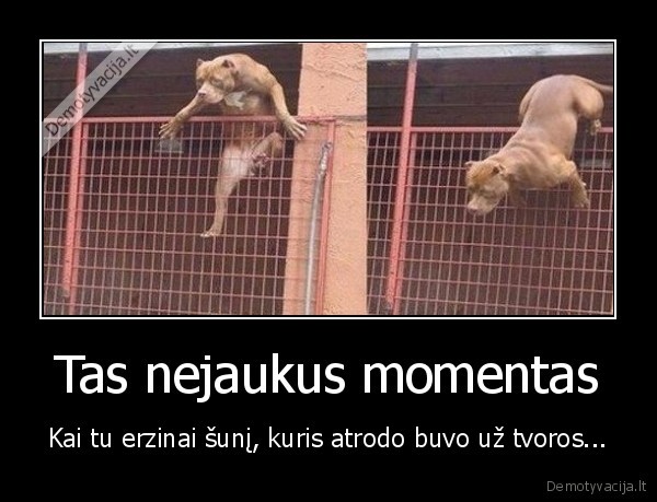 tvora,suo