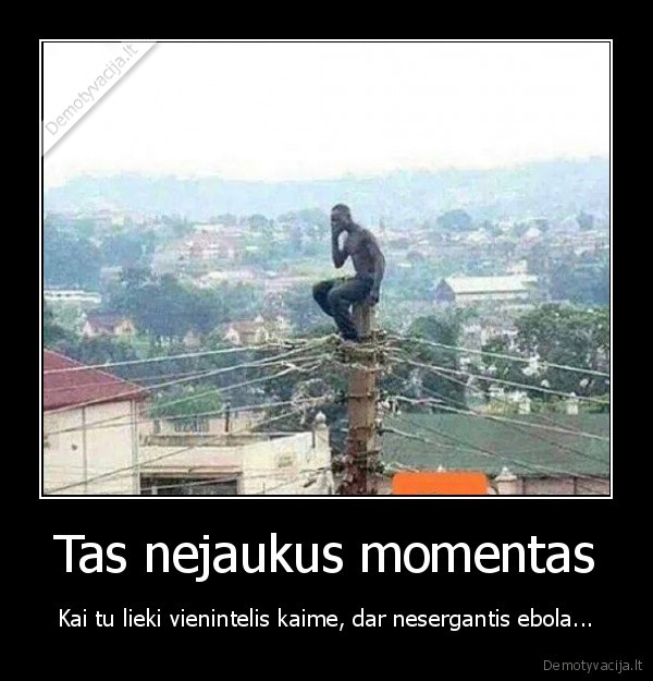 ebolos, virusas,juodaodis, stulpe,juodas, humoras
