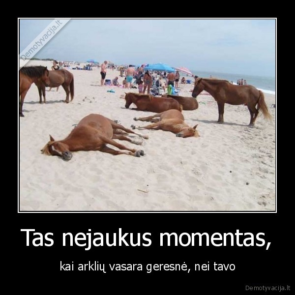 vasara,arkliai