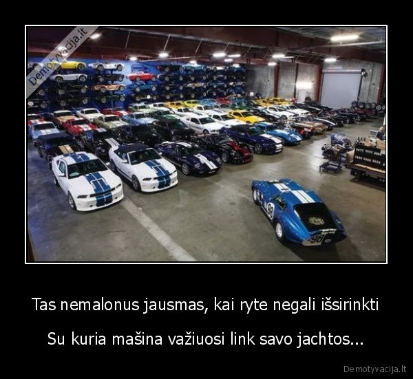 turciu, bedos,pinigai