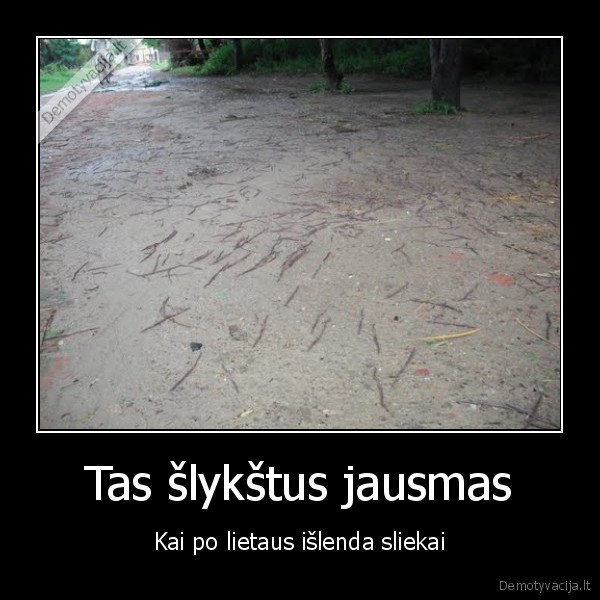 slykstu,sliekai,yra,baisu,kirmeles,lietus