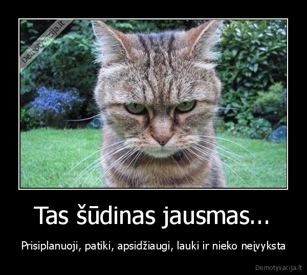 Tas šūdinas jausmas...