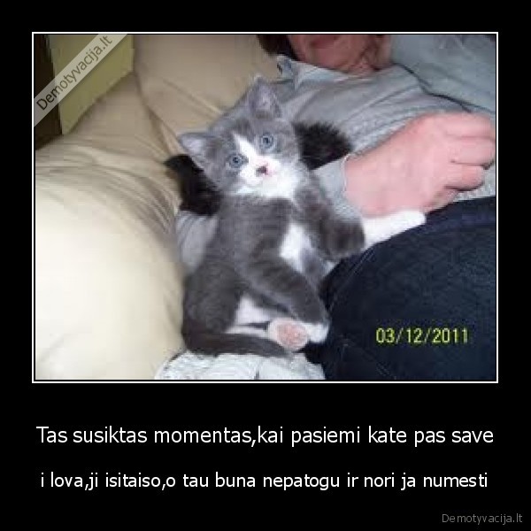 Tas susiktas momentas,kai pasiemi kate pas save