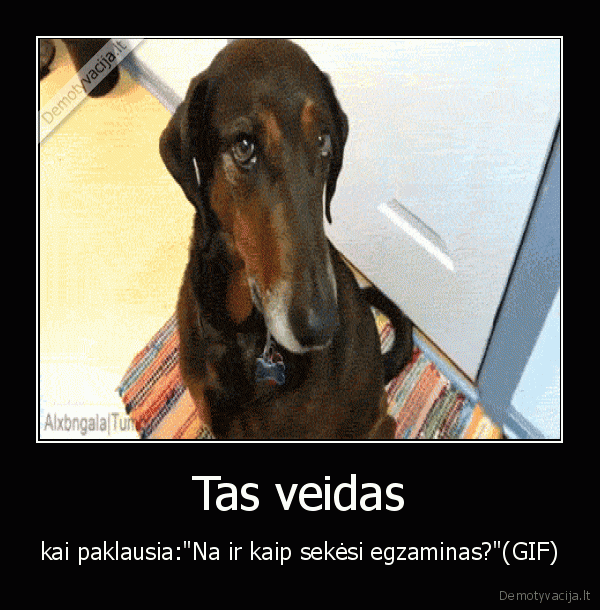 Tas veidas