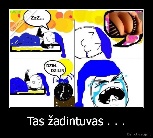 zadintuvas