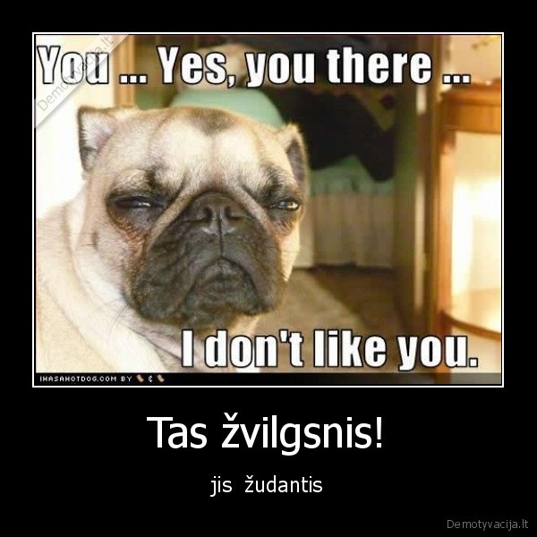 Tas žvilgsnis!