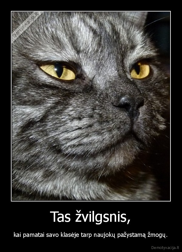 Tas žvilgsnis,