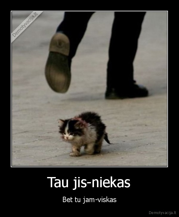 gyvunai, gatveje