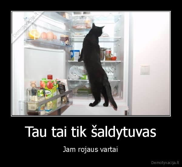 Tau tai tik šaldytuvas