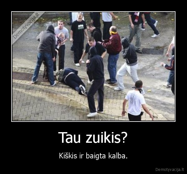 Tau zuikis?