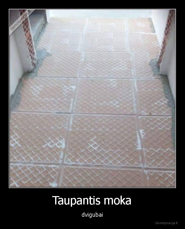 taupantis,plyteles,meistras