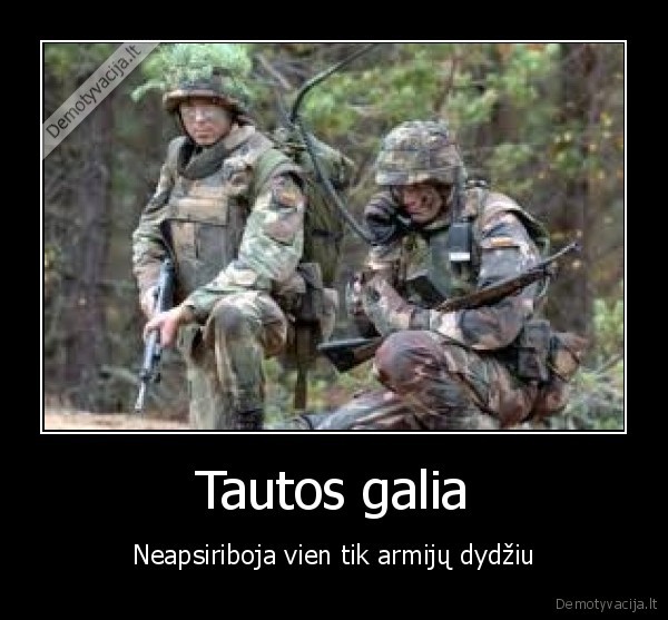 Tautos galia