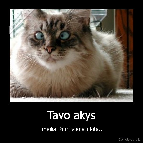 Tavo akys