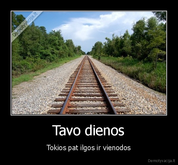 Tavo dienos