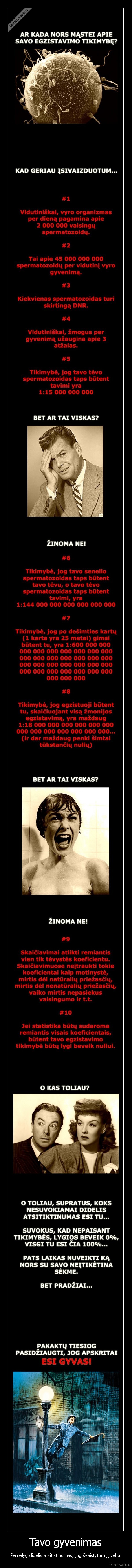 gyvenimas,tikimybe,trapumas,zmogus,zmonija,statistika,visata,gyvybe