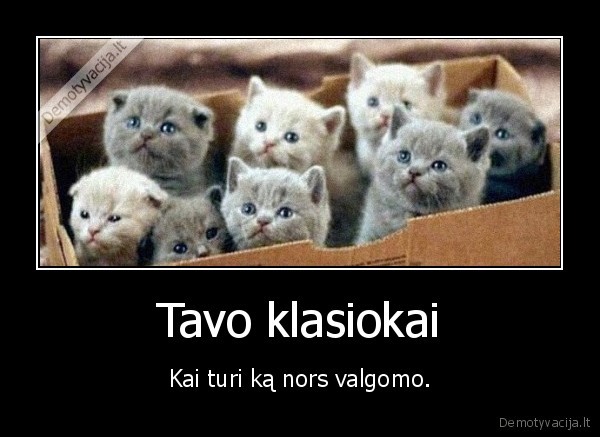 maistas,klasiokai