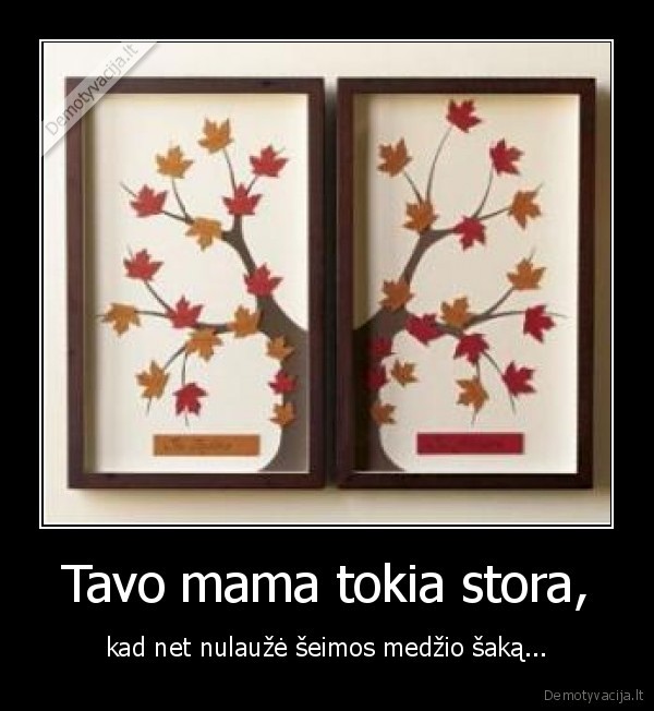 Tavo mama tokia stora,