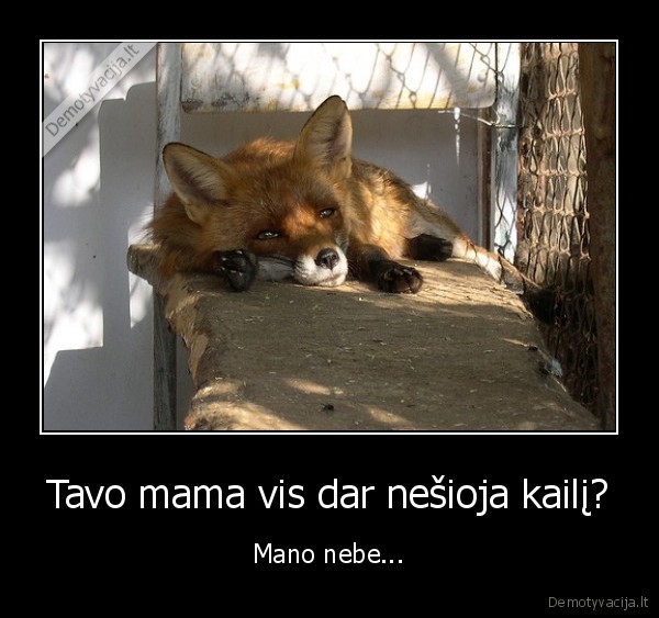 Tavo mama vis dar nešioja kailį?