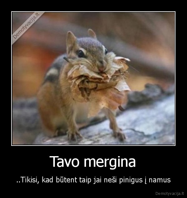 Tavo mergina