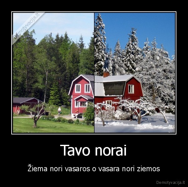 Tavo norai