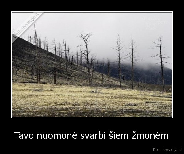 niekam,tu,neidomus