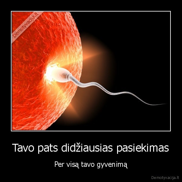 Tavo pats didžiausias pasiekimas